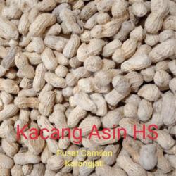 Kacang Kulit Asin