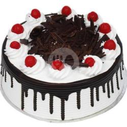 Blackforest Bulat Classic 18