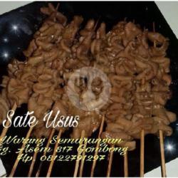 Sate Usus