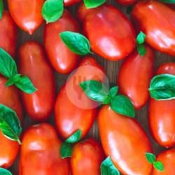 Tomato Salad (italian Style)