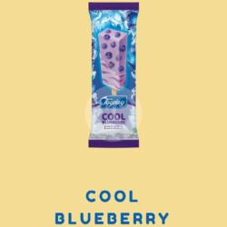 Ice Cream Cool Blueberry