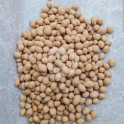 Sp Kacang Atom Oven 250 Gram