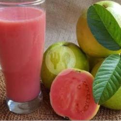 Jus Jambu Merah Jumbo18 Oz