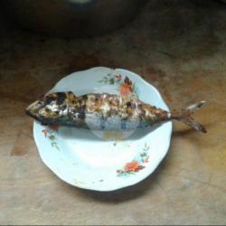 Ikan Gembung