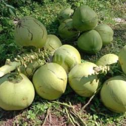 Kelapa Degan Super