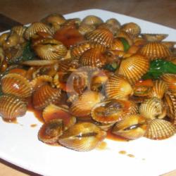 Kerang Bulu Mentega