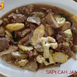 Sapi Cah Jamur