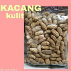 Kacang Kulit