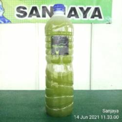 Tebu Ijo Botol Besar