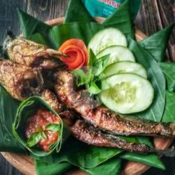 Lele Bakar Kecap/pedas Manis