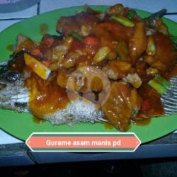 Ikan Gurame Asem Manis Besar