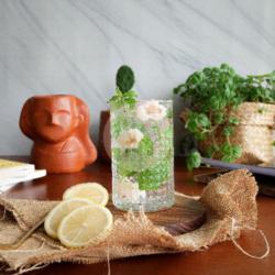 Virgin Mojito