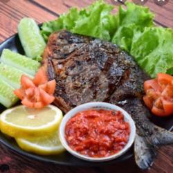 Ikan Bawal Tawar Bakar/goreng