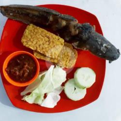 Paket Lele   Nasi   Tempe