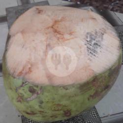 Kelapa Bulat