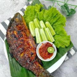 Ikan Mas Bakar