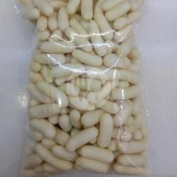 Pilus Ikan