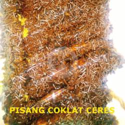 Pisang Coklat Ceres