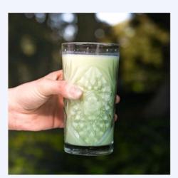 Pandan Fresh Milk Iced