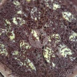 Terang Bulan Wijen Pisang Coklat Adonan Blackforest