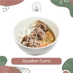 Gyudon Curry