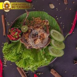 Burung Dara Kremes ( New )