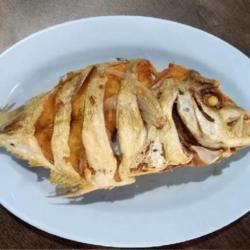 Ikan Kuek Goreng Ukuran S