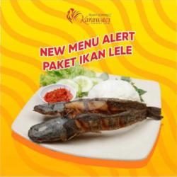 Paket Ikan Lele Organik