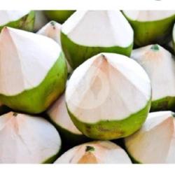 Kelapa Muda Bulat (di Tipiskan Saja)