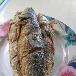 Ikan Layang