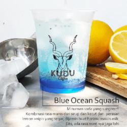 Blue Ocean Squash Ice (reg)