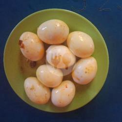 Telur Kari