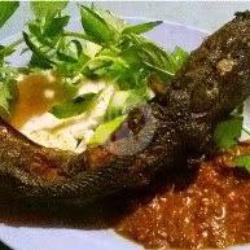 Lele   Sambal Lalap (tanpa Nasi)