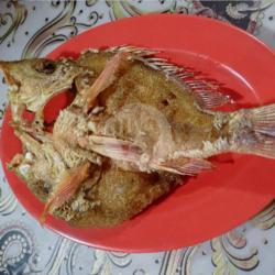 Ikan Kakap Merah Goreng   Nasi Uduk