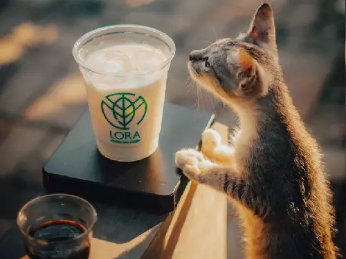 Cafe Lora, Kecamatan Balaraja Desa Saga