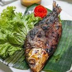 Ikan Bakar Bolu Bumbu Tengah (bolu)