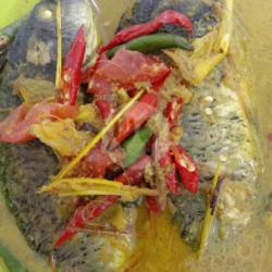 Pesmol Ikan Mas