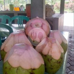 Kelapa Hijau Asli