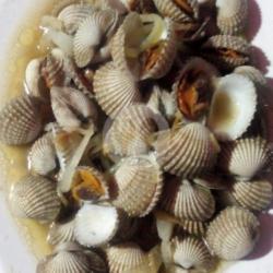 Kerang Rebus