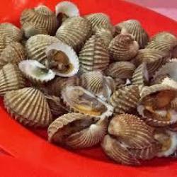 Kerang Dara Rebus