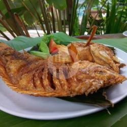 Lalapan Nila Tanpa Nasi