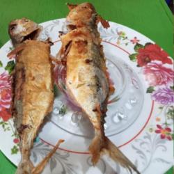 Ikan Kembung