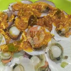 Kerang Simping/kipas