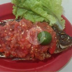 Mujair Sambal Cocol Sedang