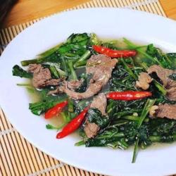 Sapi Cah Kangkung