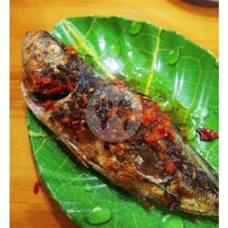 Paket Oci Bakar Rica Free Nutri