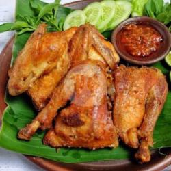 Ayam Goreng Kampung Panas Tampa Nasi,