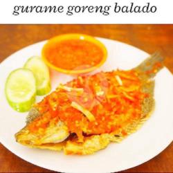 Ikan Gurame Balado   Free Sambal