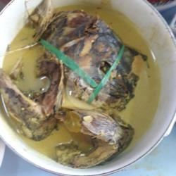 Ikan Kepala Tongkol