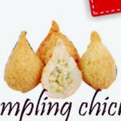 Dumpling Chicken